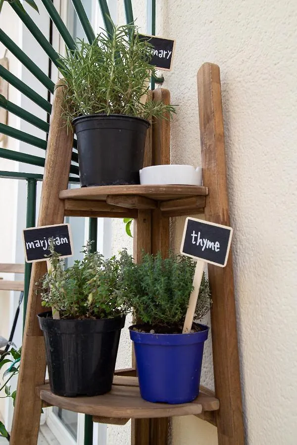 Il Palchetto B&B Di Charme E Design Palermo